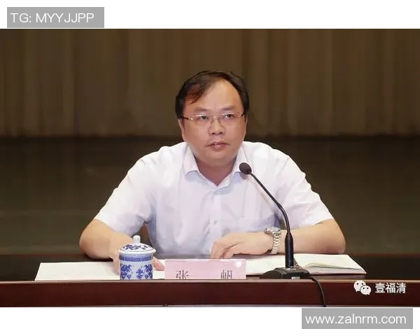 张帆：在风雨中坚定前行的青年领袖与他的奋斗故事