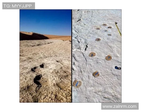 探索阿拉巴的魅力与文化遗产揭示其独特的历史与现代发展之路